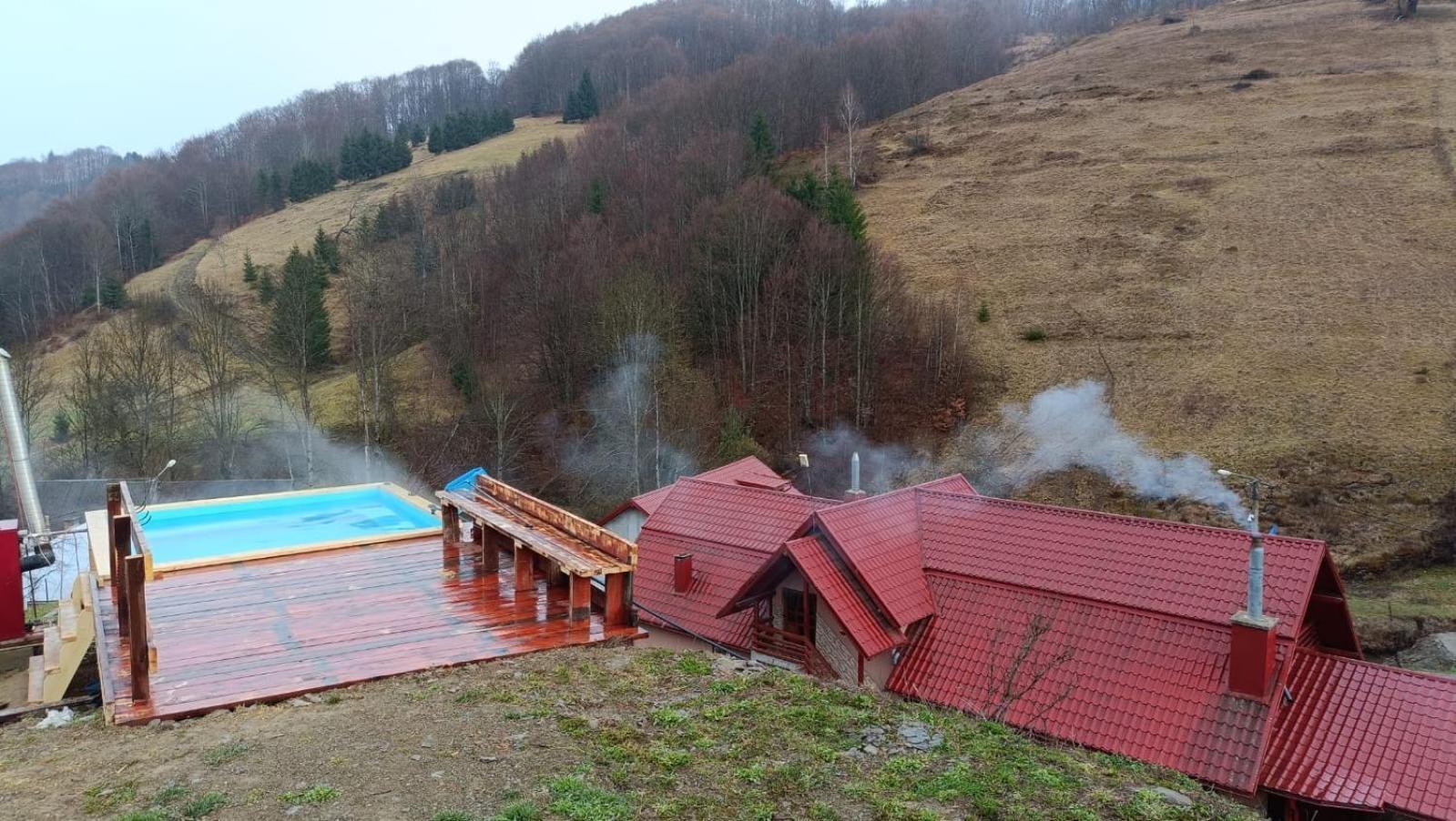 Cabana Daianna Si Jessica Poiana Vadului Dış mekan fotoğraf