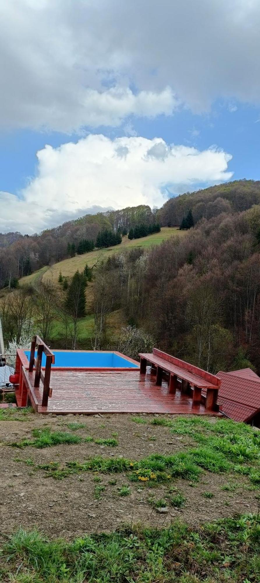 Cabana Daianna Si Jessica Poiana Vadului Dış mekan fotoğraf